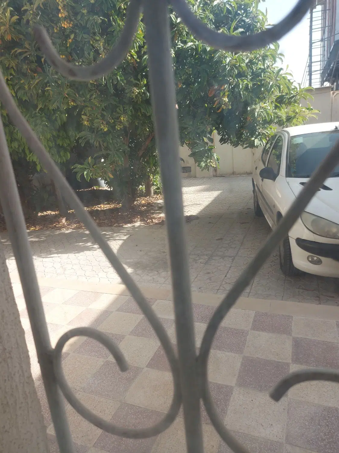 بلوار غربی تخت جمشید با قابلیت m3