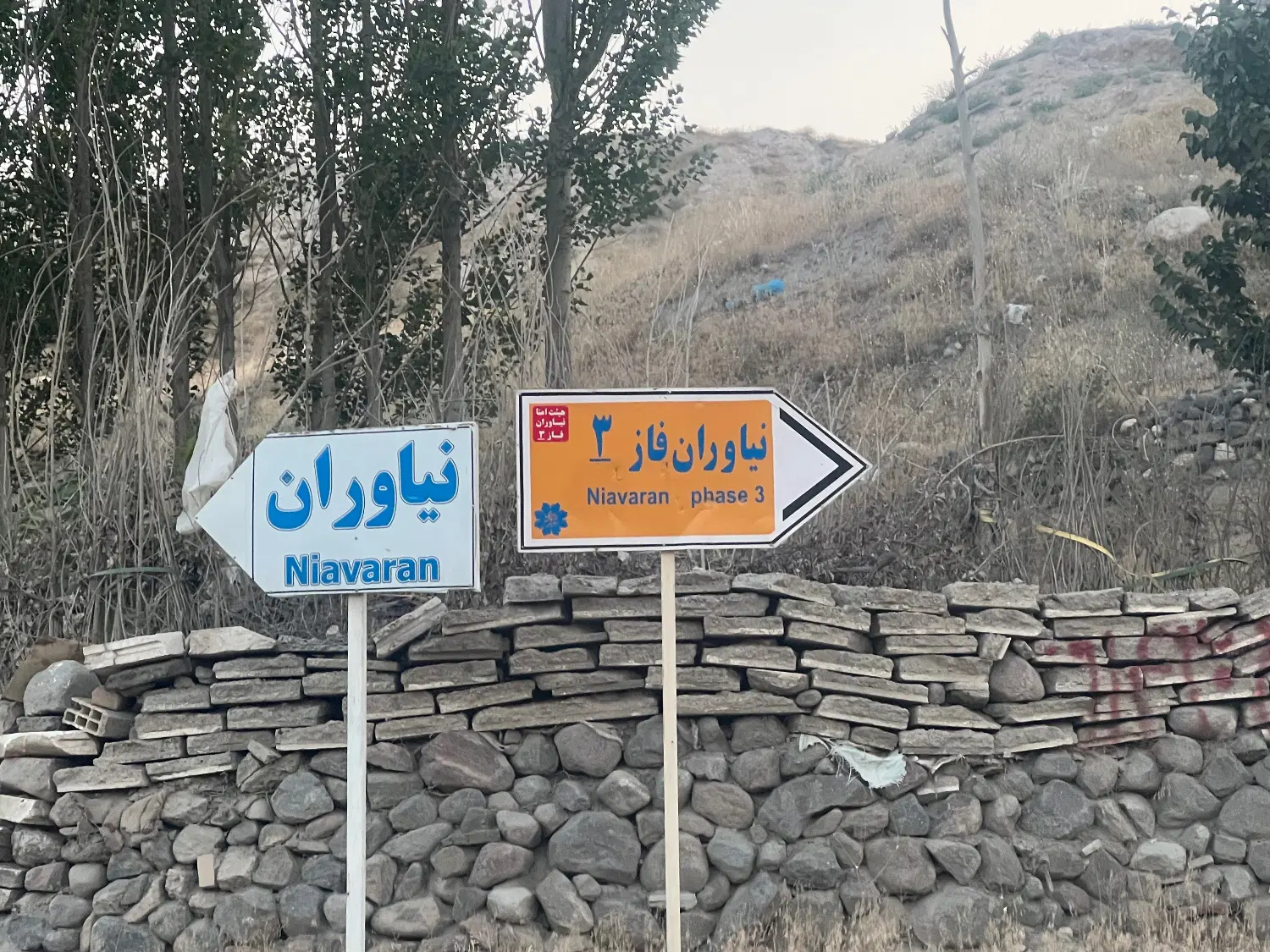 فروش زمین باغی چاوان (واقع در مسیر شاد آباد چاوان