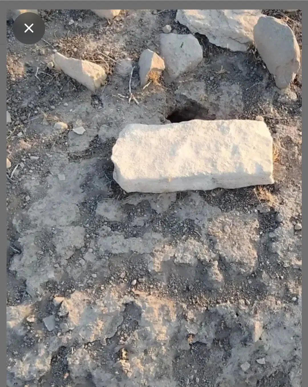 زمین ۲۵ گزی ۱۴۴ متر