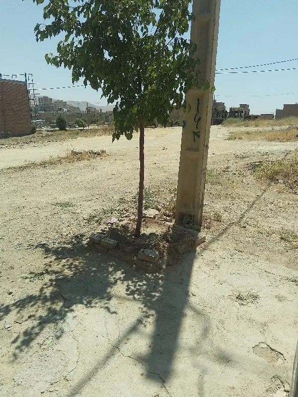 فروش زمین دیم حاج علی
