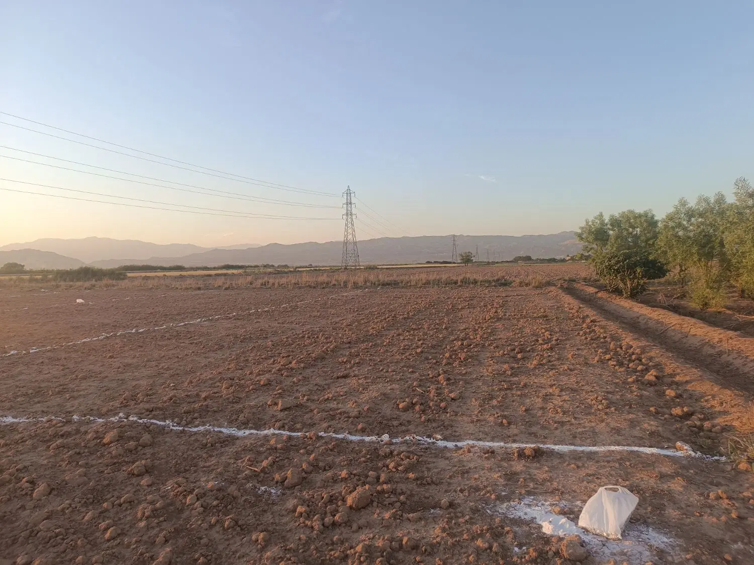 ی قطعه زمین کشاورزی