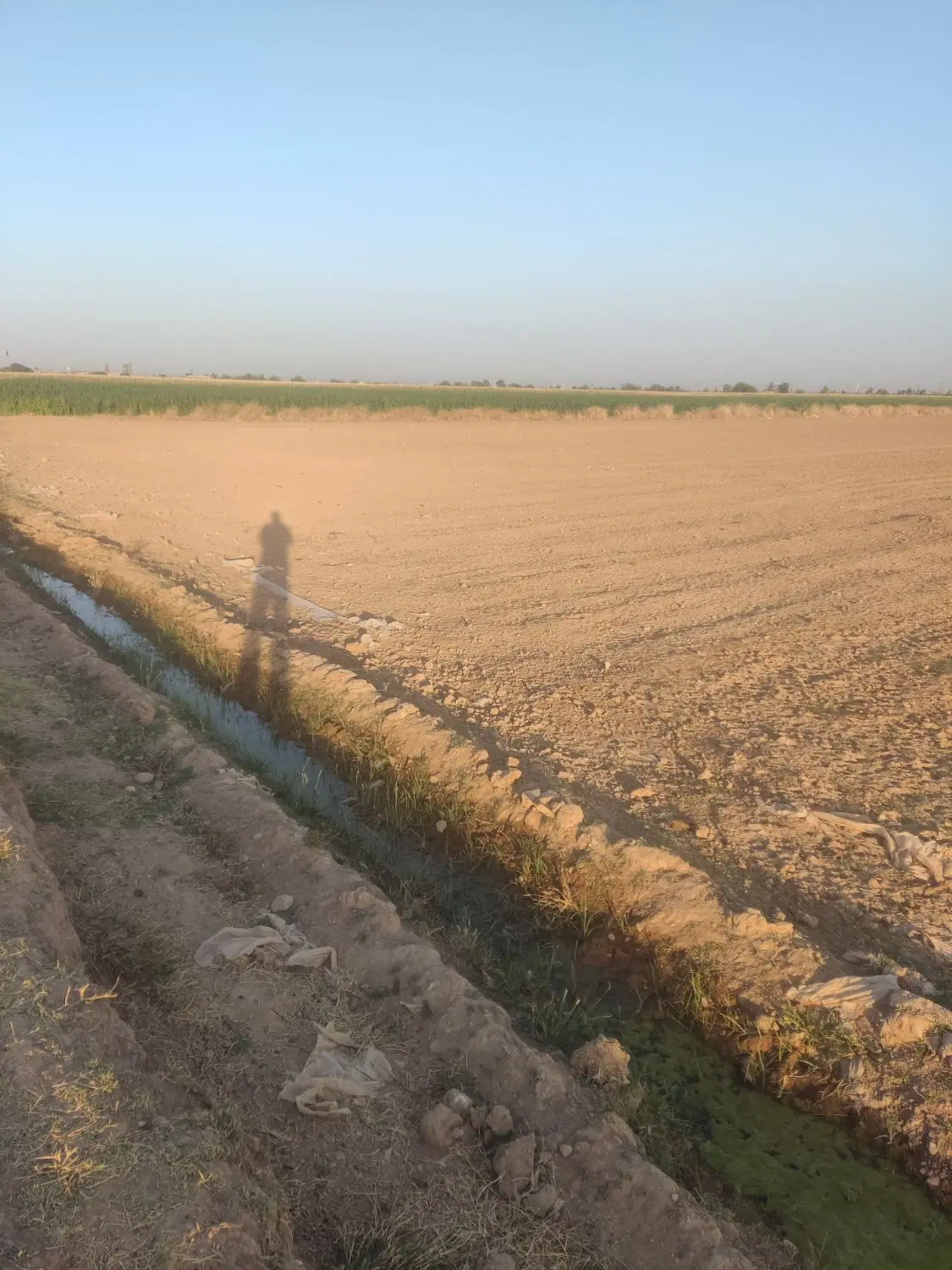 اجاره زمین کشاورزی مقدار 9هکتار وربع