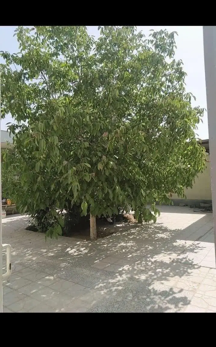 فروش‌خانه‌ویلای‌بزرگ‌.قابل‌سکونت.زیبا