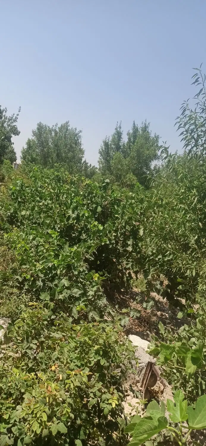 زمین در شهید کسایی