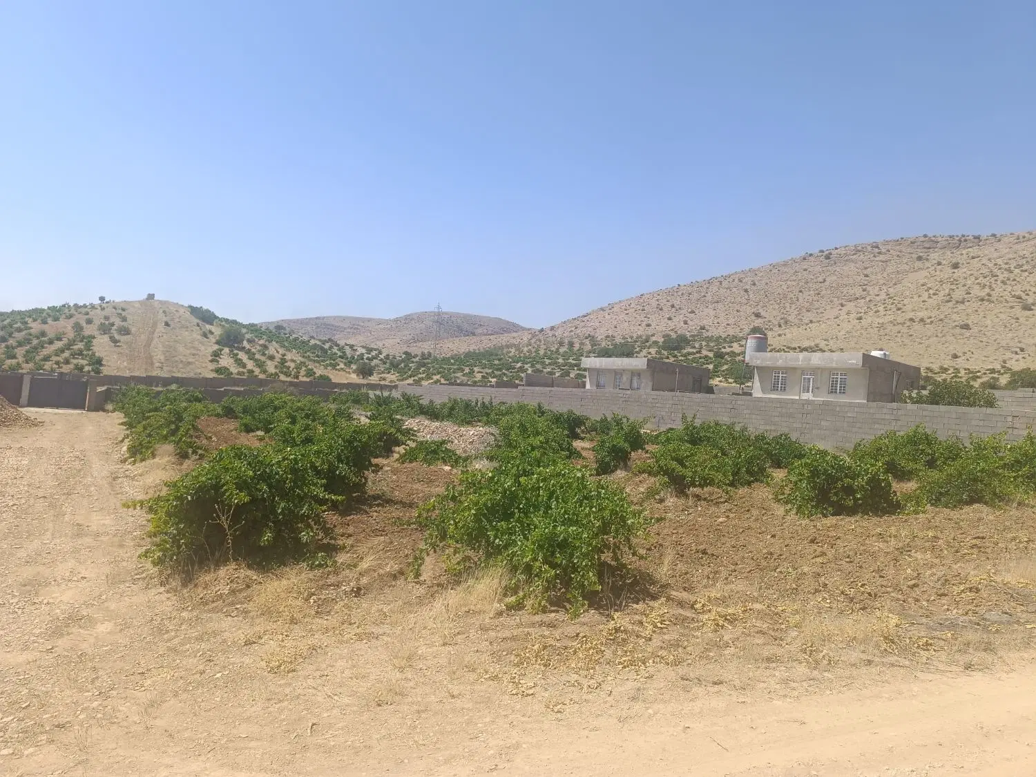 فروش زمین