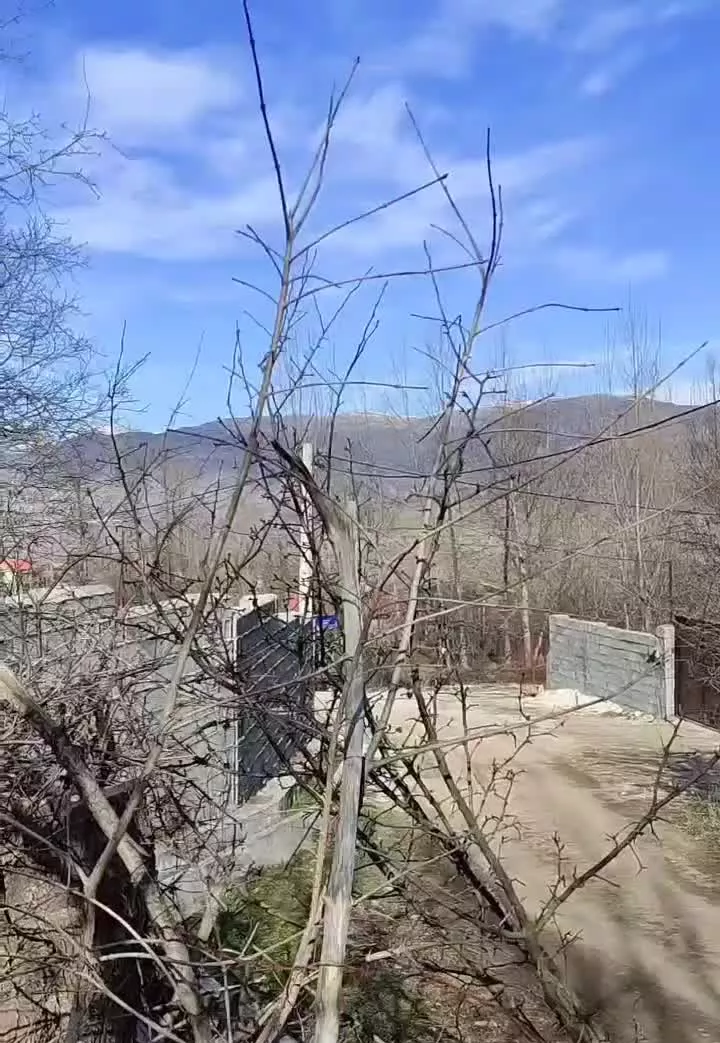 زمین مناسب ساخت ویلا باغ