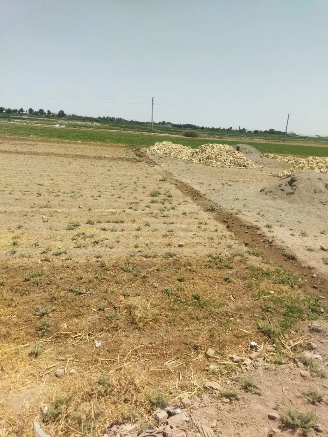زمین مناسب باغ و باغچه ورامین