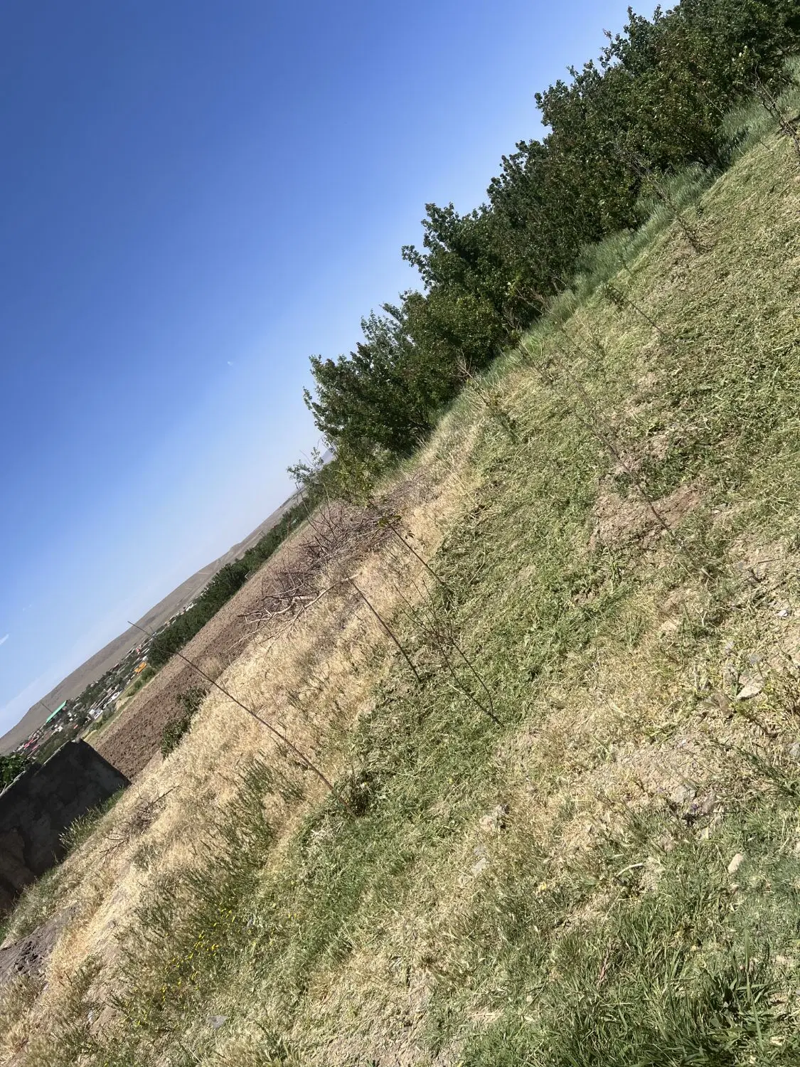 باغ روستای خوش آب و هوای زواریان