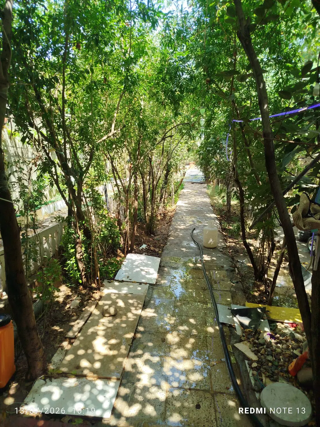 باغچه فروشی