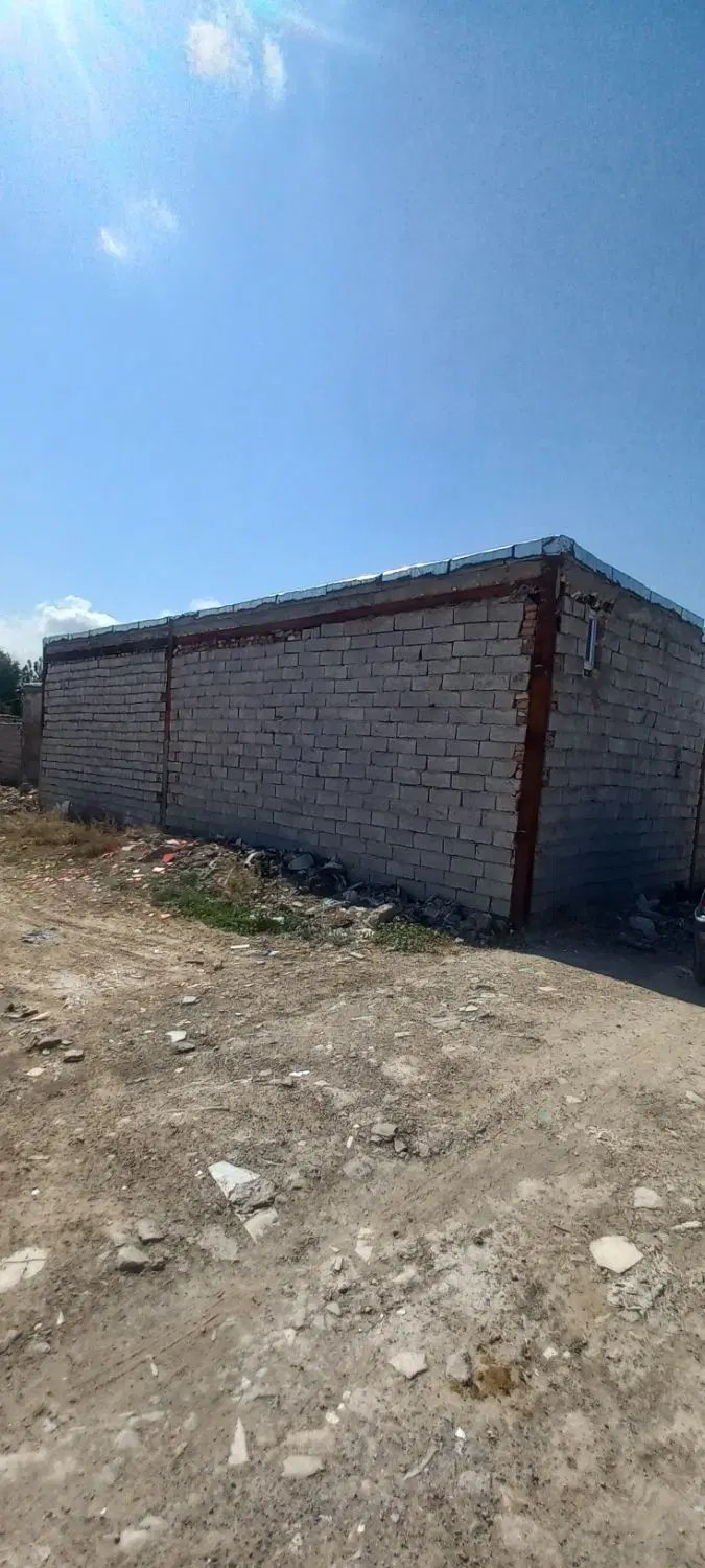 گاو داری در گلمغان