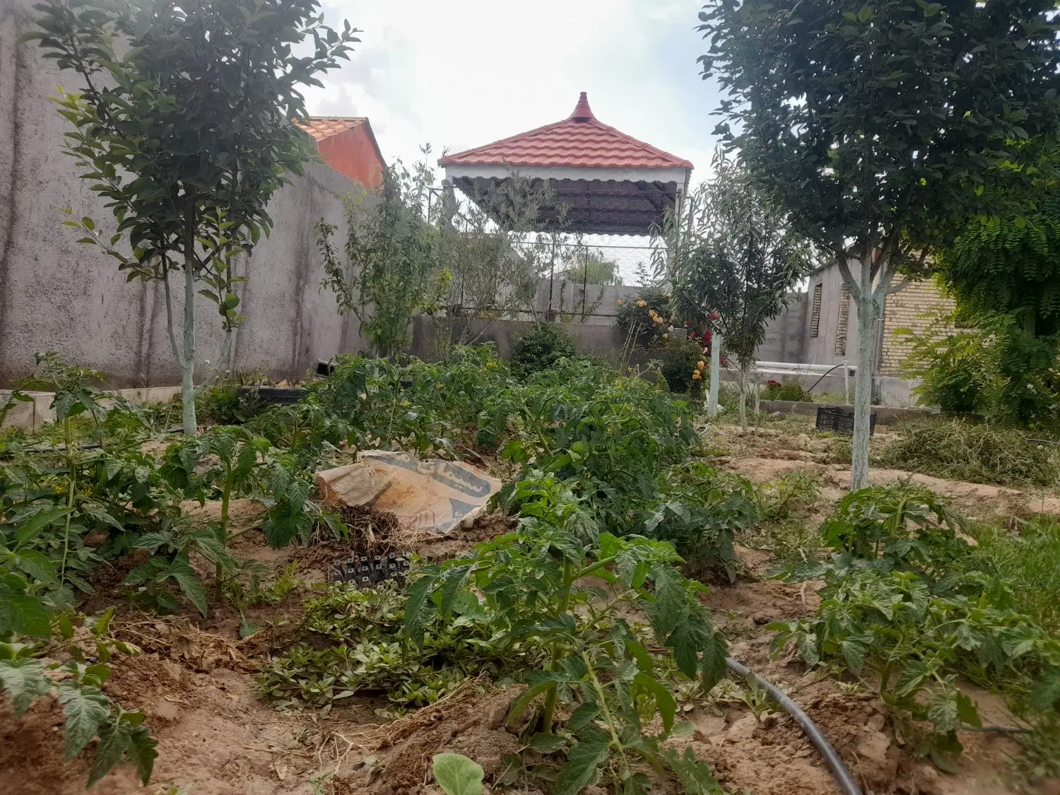 باغ ویلا