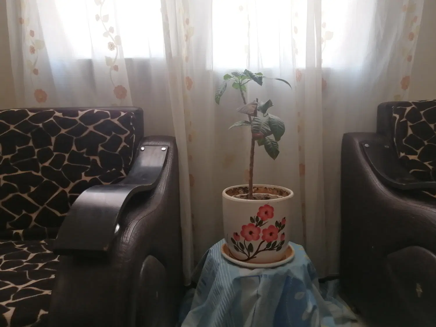 سوییت مبله