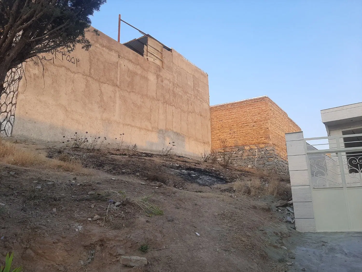 زمین