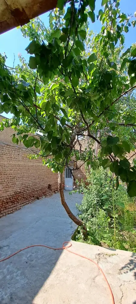 فروش خانه در اخمقیه