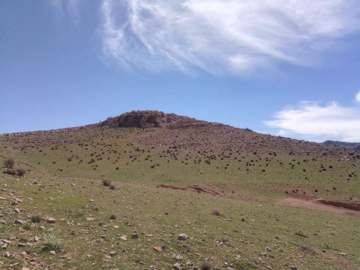 زمین کشاورزی