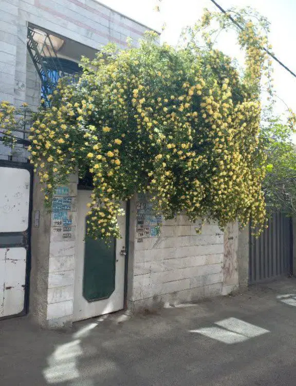 خانه ویلایی دربست