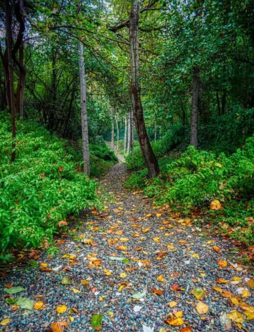 زمین باغی ۵۰۰متر نیم ساعت آب خوش جا