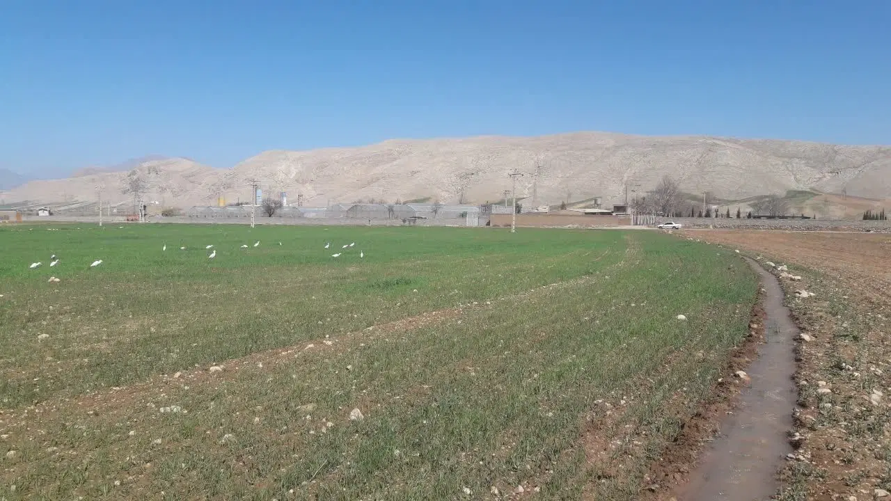 زمین کشاورزی صنعتی
