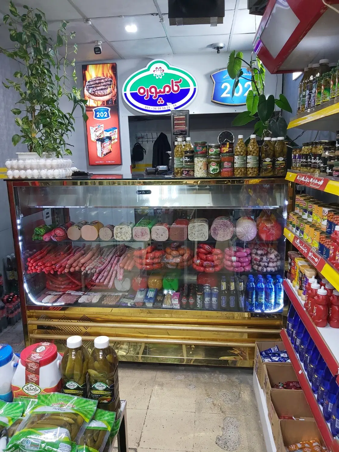 واگذاری پروتئینی (هفت تیر)