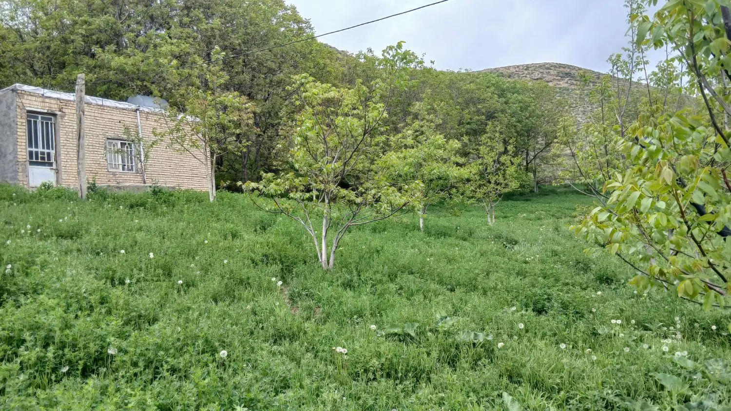 زمین ویلایی