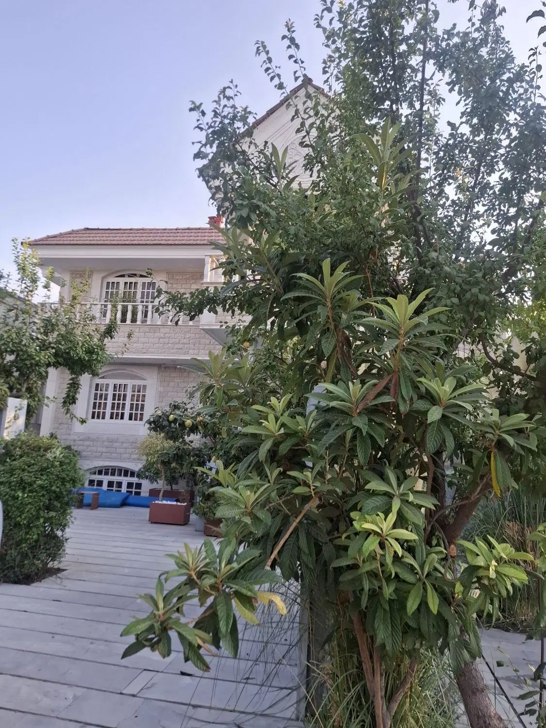 290 متر دو بر ابتدای کوهسار