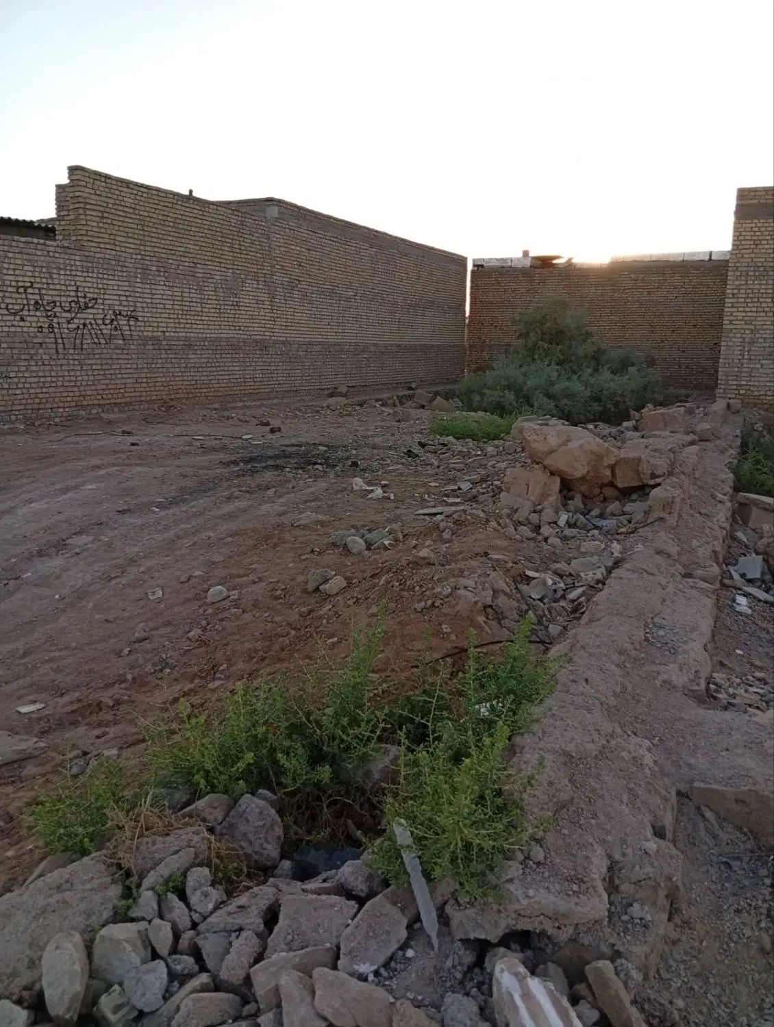 زمین 175متر کوی سادات