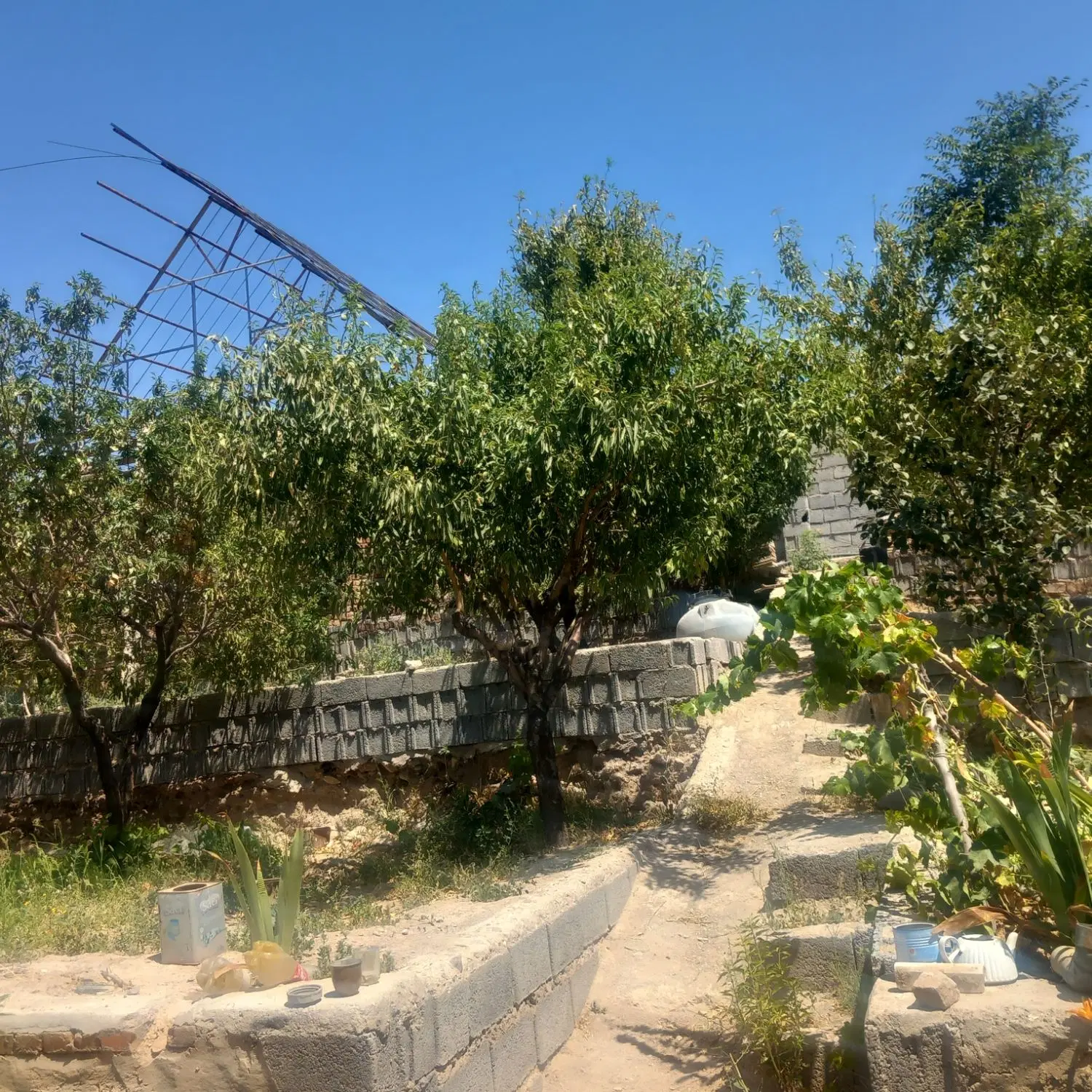 فروش باغ نیمه کاره