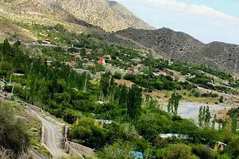 زمین دلفارد(جیرفت)