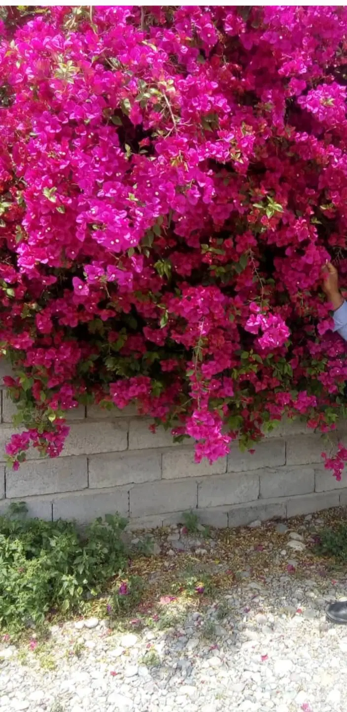فروش خانه