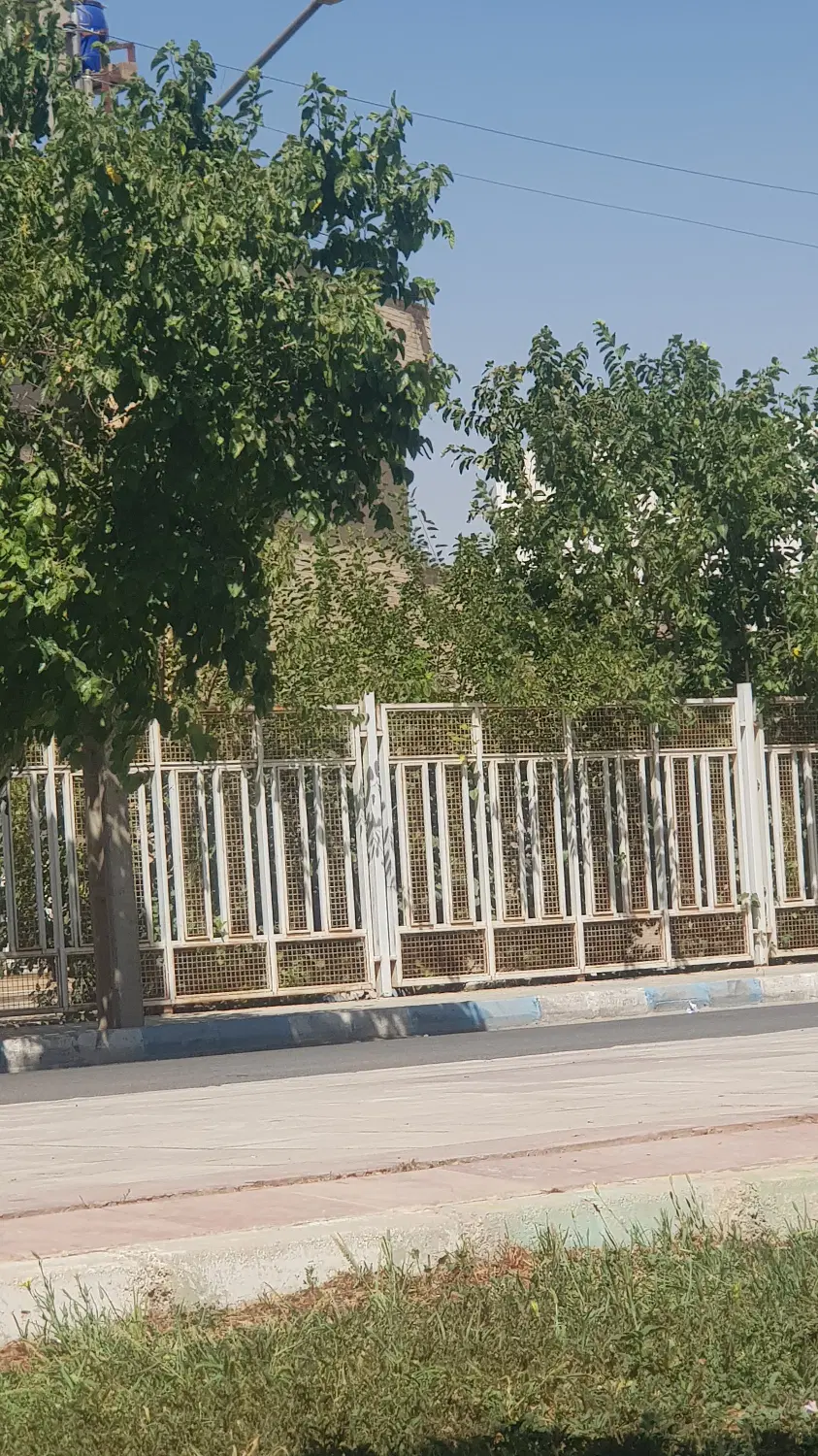 همخانه