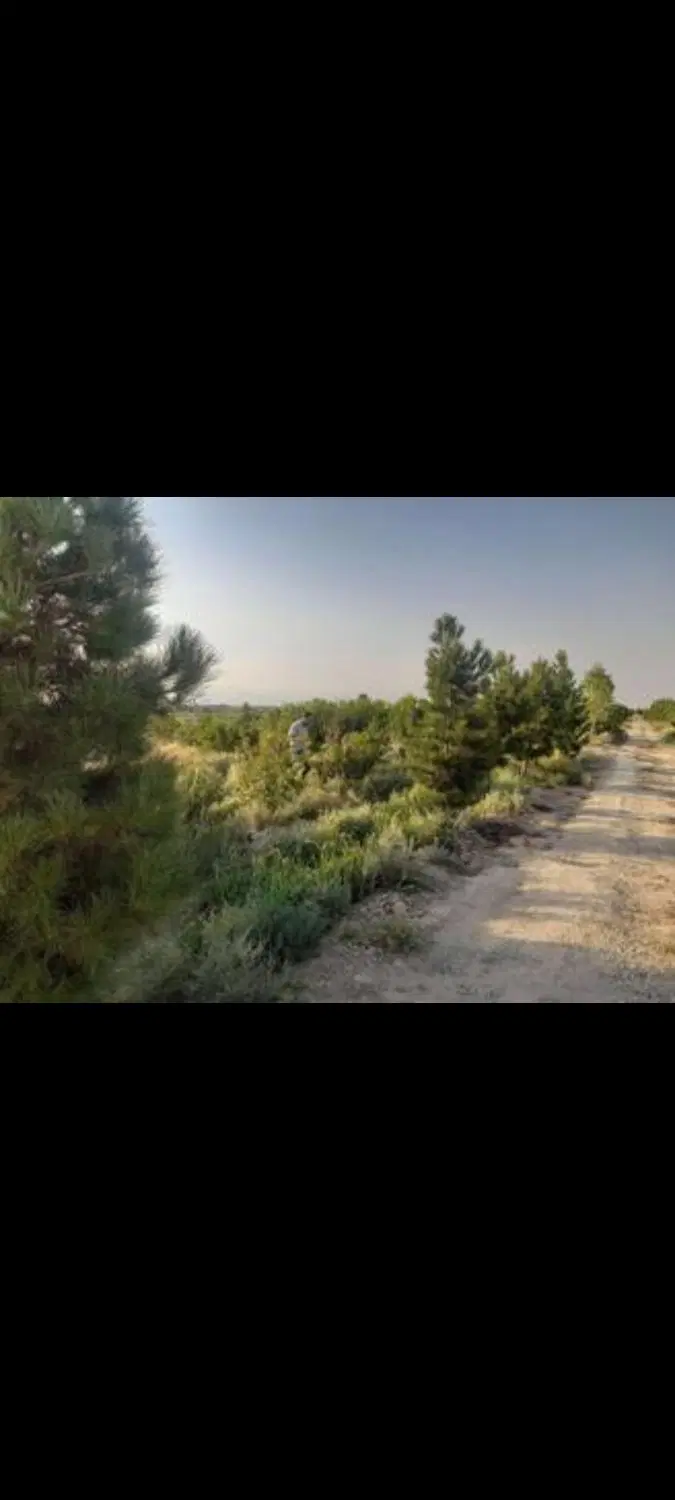 زمین مناسب باغچه و باغ