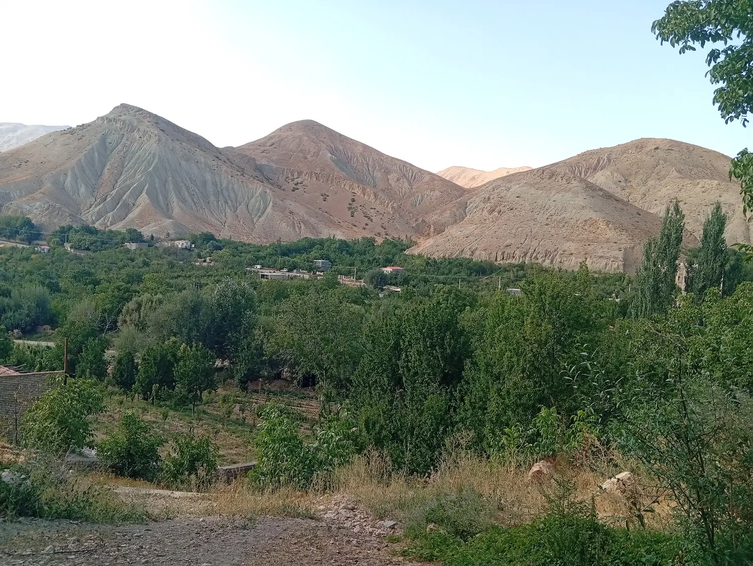 باغ فروشی رویین