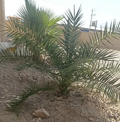 مغازه فروشی بازار