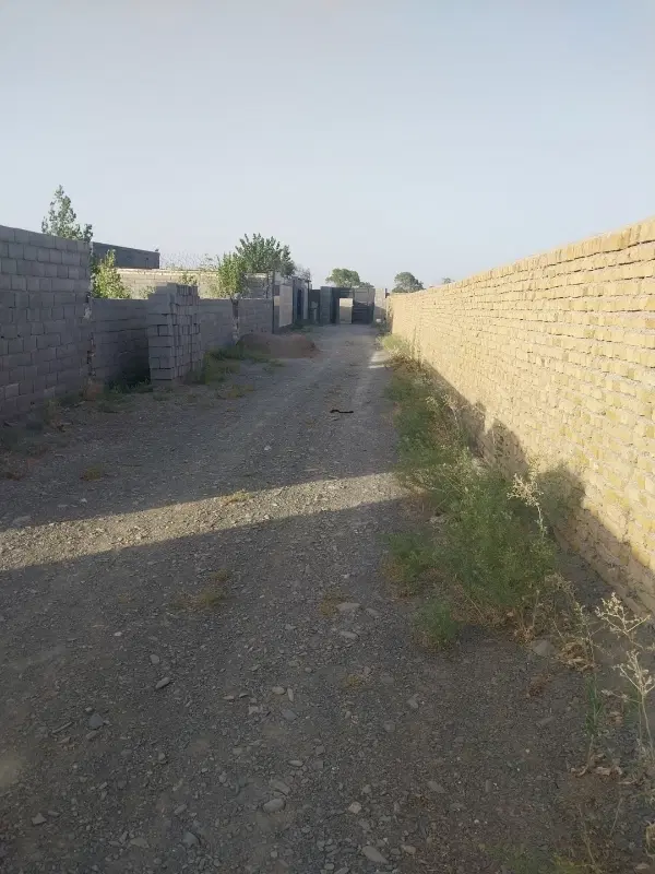 زمین پانصدمتر دوردیوار نهالکاری استخرنیمه کاره