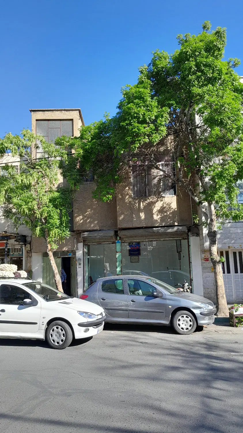 ملک مسکونی تجاری