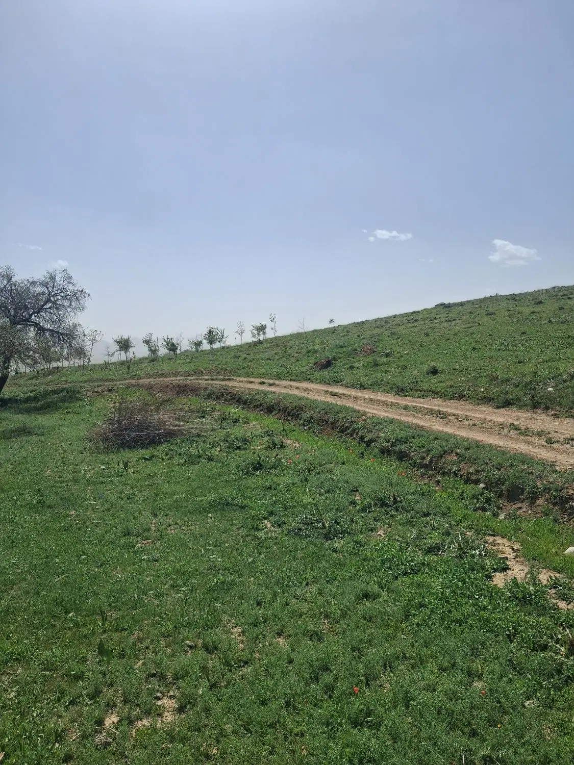 خونه باغ ۱۰۰۰ متری با استخر در گوار قره کهریز