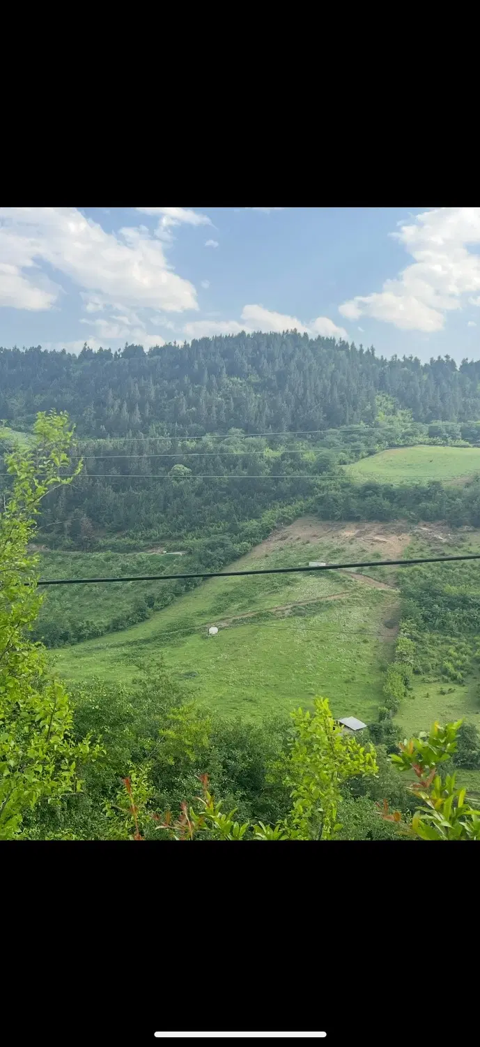 زمین باغی