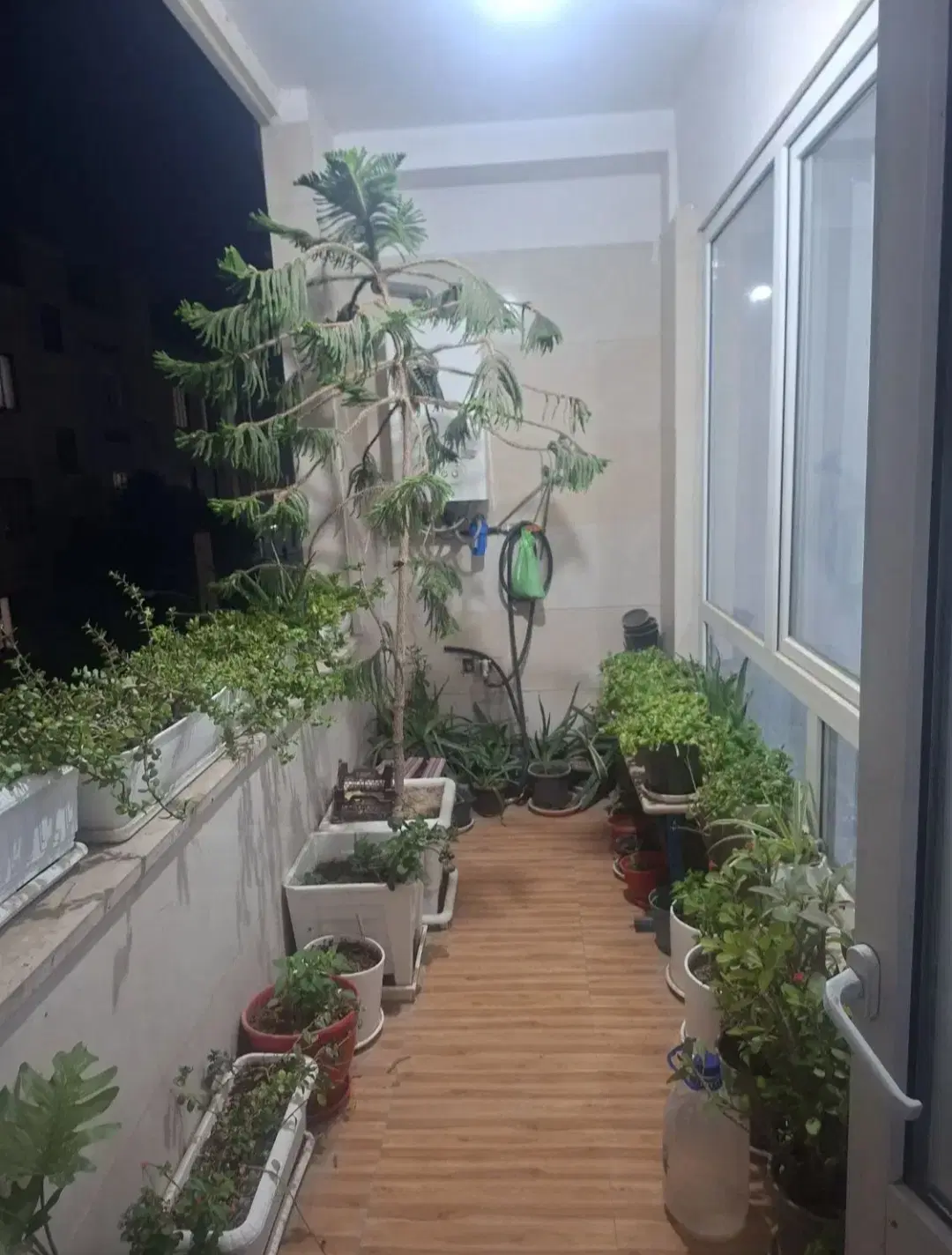 آپارتمان اجاره ای