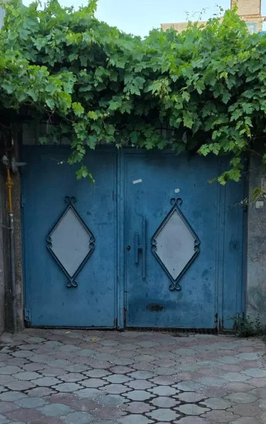 حیاط ویلایی
