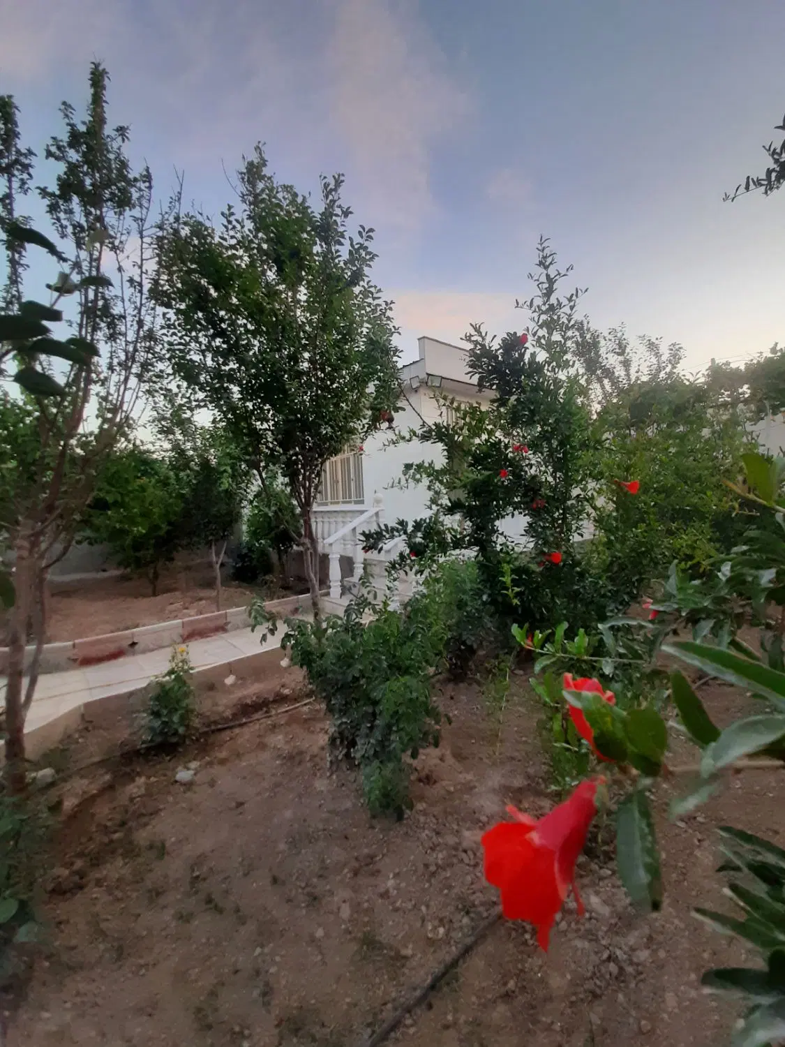 فروش340متر باغچه خلیج فارس