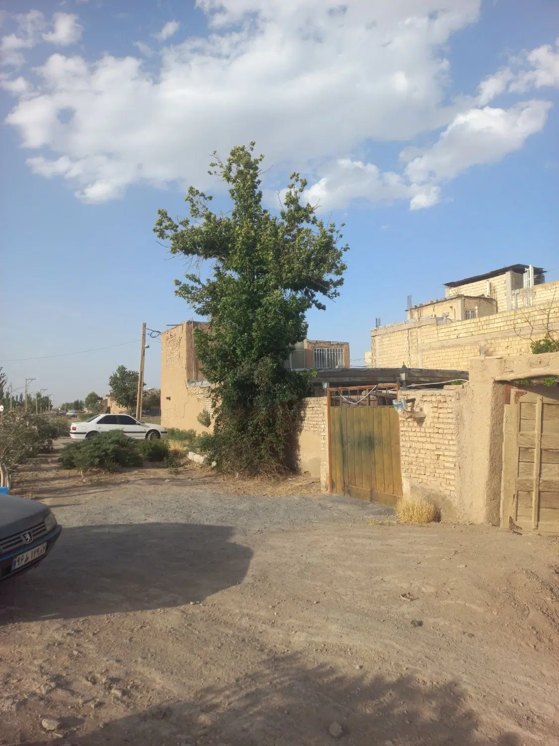 ۳۱۴ متر خونه پروفسر