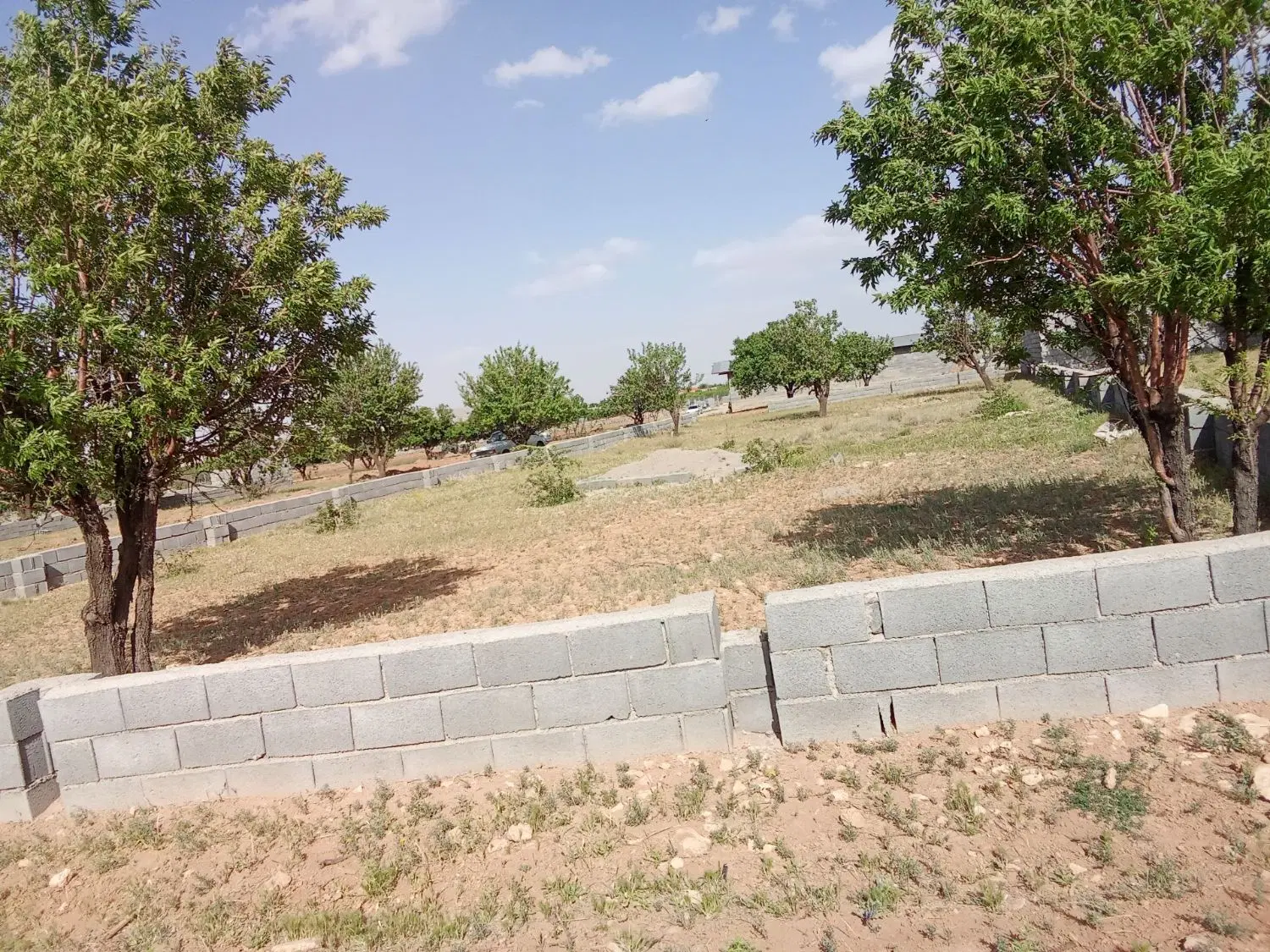 زمین باغی دره ریز