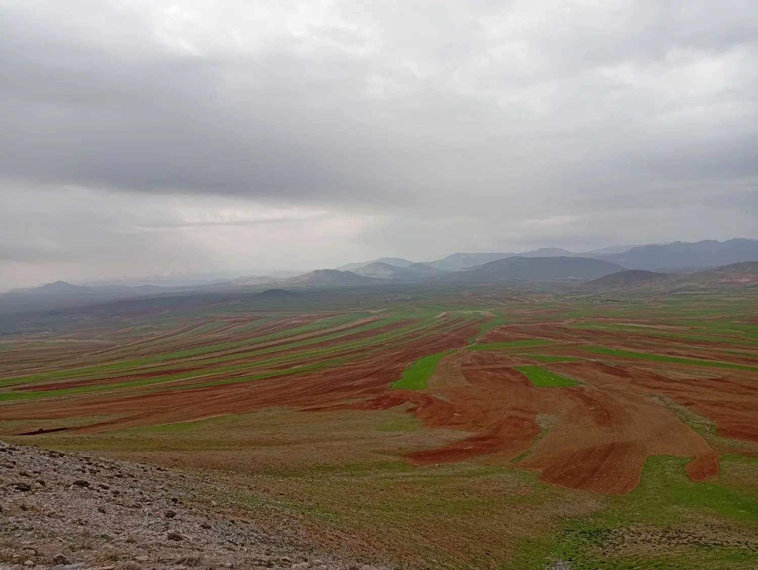 زمین