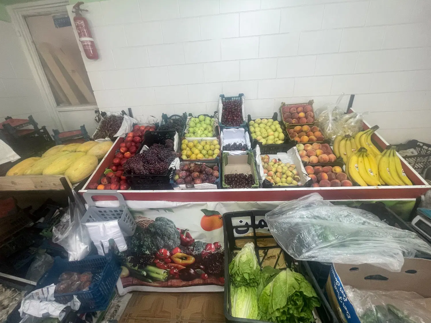 واگذاری میوه فروشی
