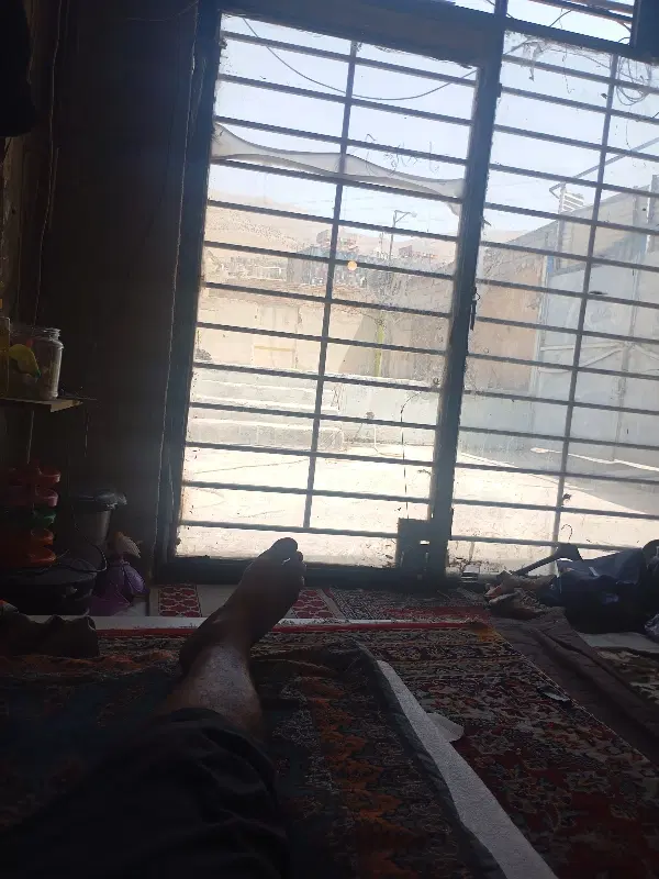 همخونه