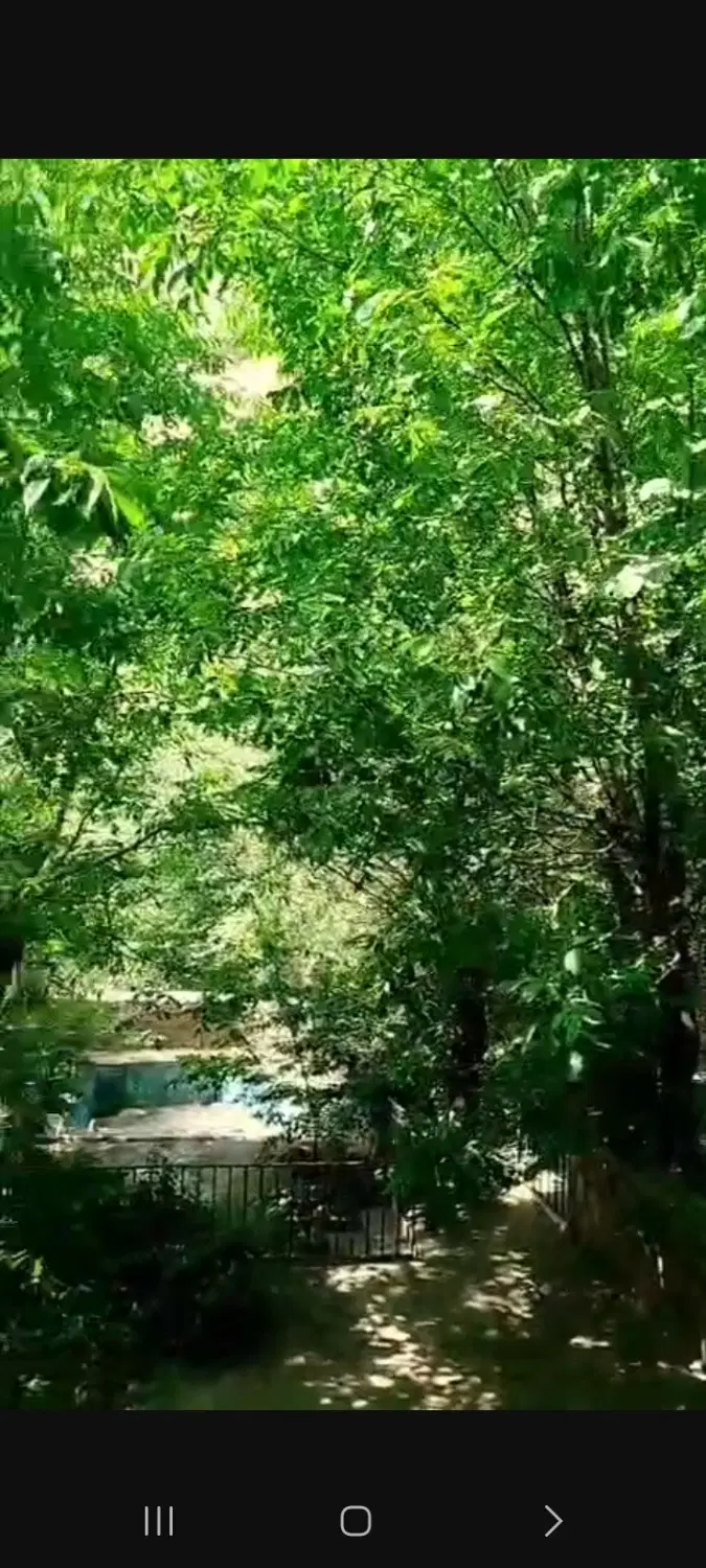 اجاره سالیانه