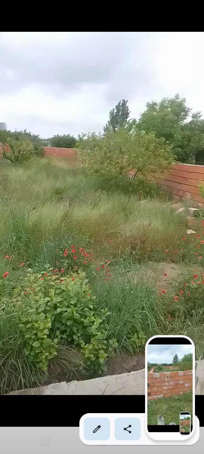 فروش زمین  باغچه