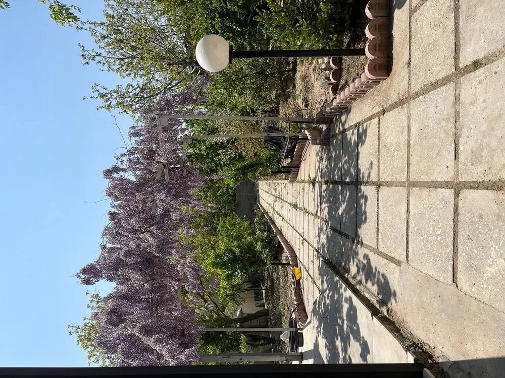 باغ ویلا
