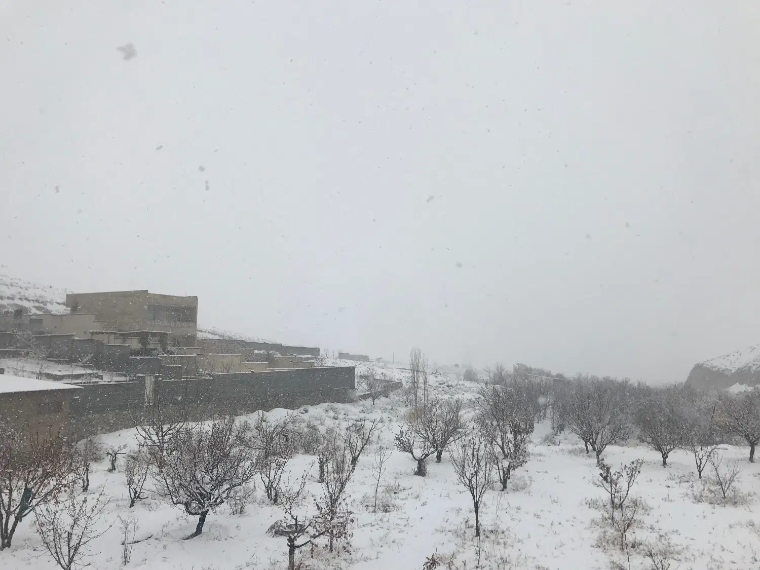 زمین ۲۸۰ متری فروشی