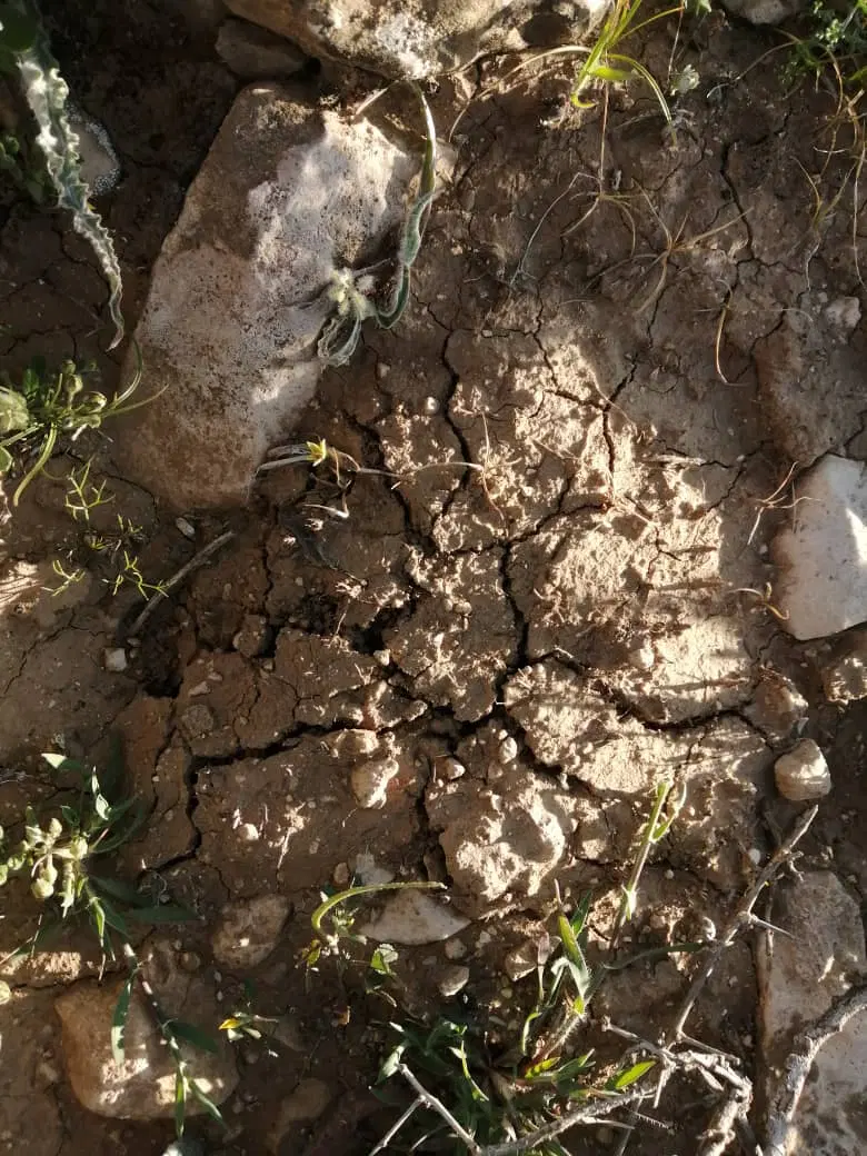 سلام ۲۰۰۰ متر زمین